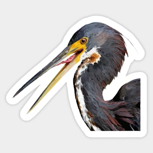 Tricolored Heron Sticker